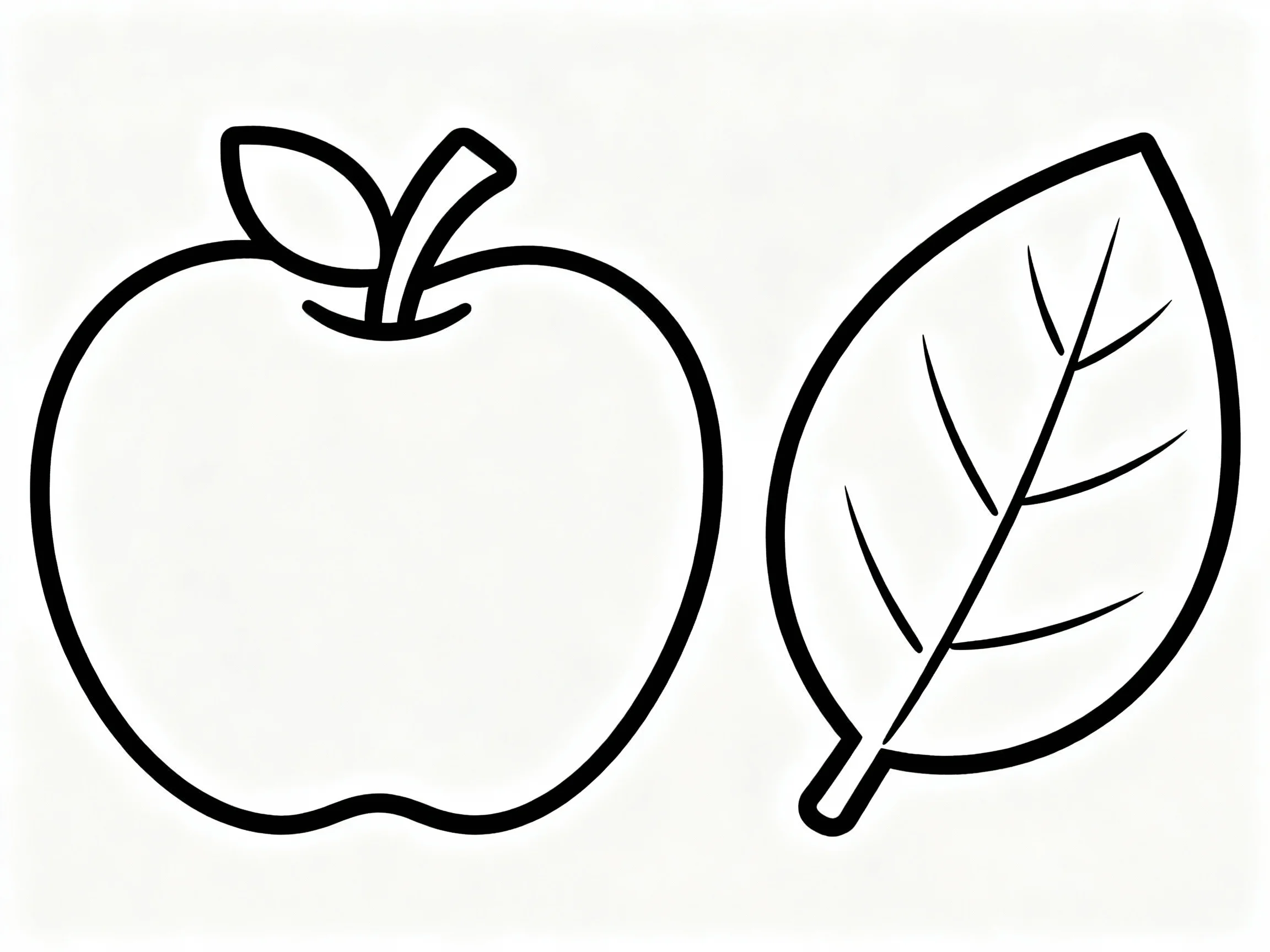 Apple and Leaf Comparison