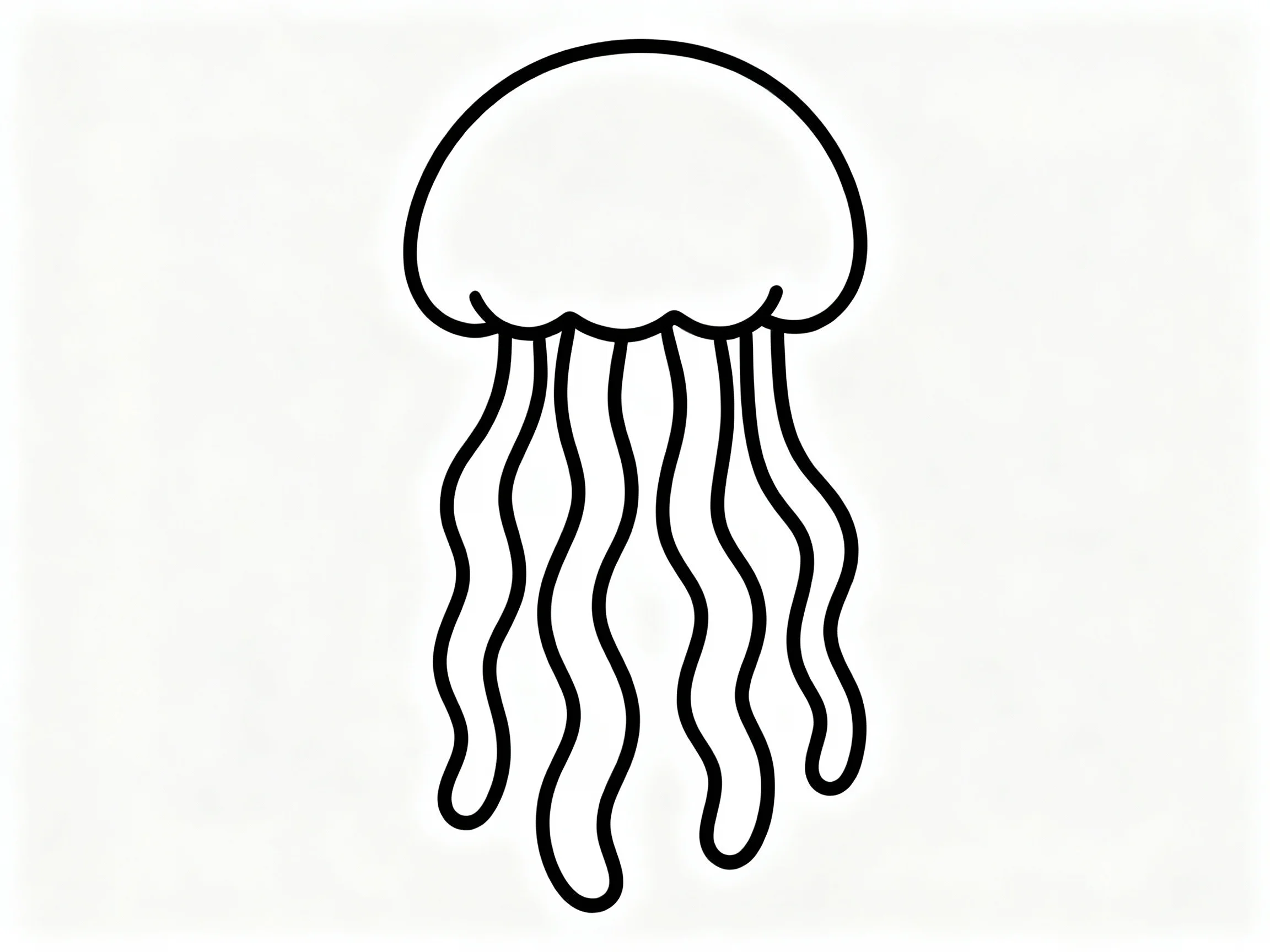 Jellyfish