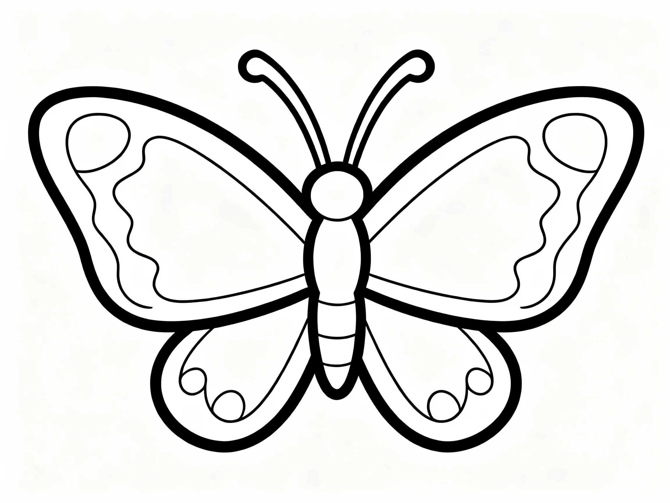 Butterfly with Simple Antennae