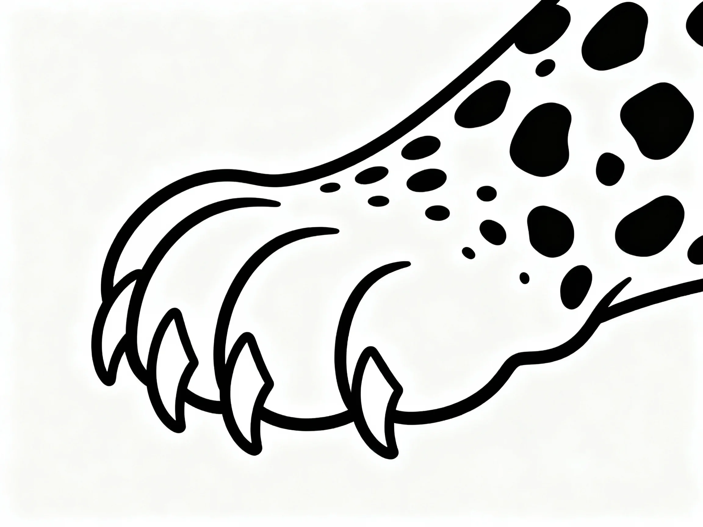 Cheetah Paw Close-up