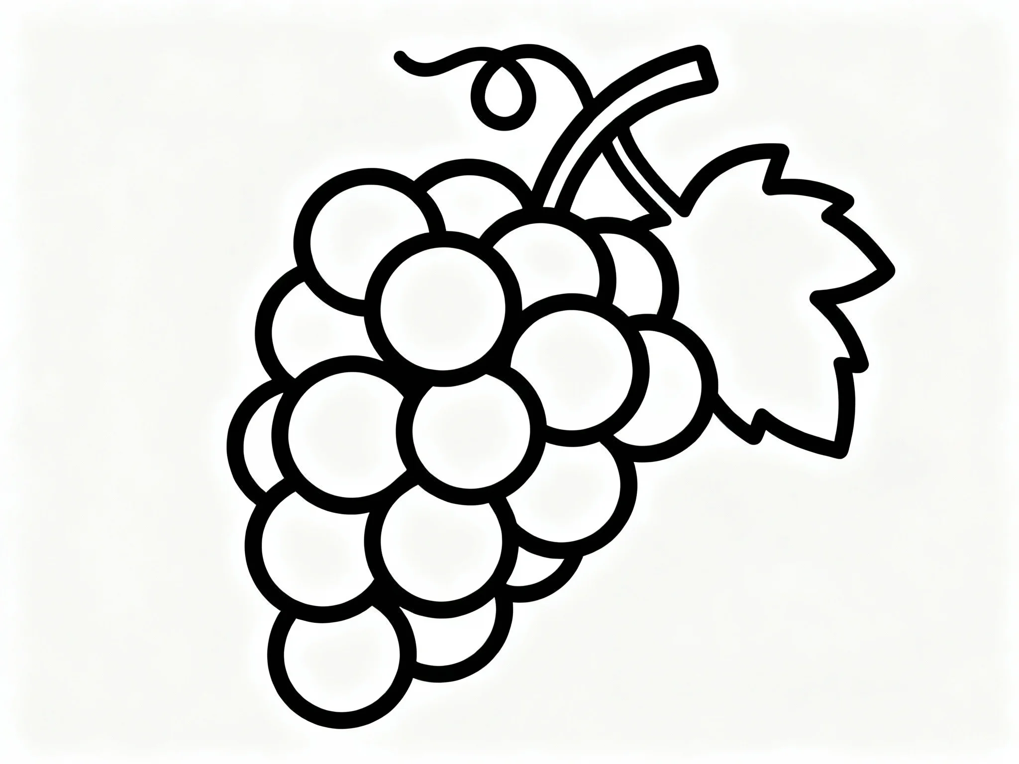 Grapes on a Vine