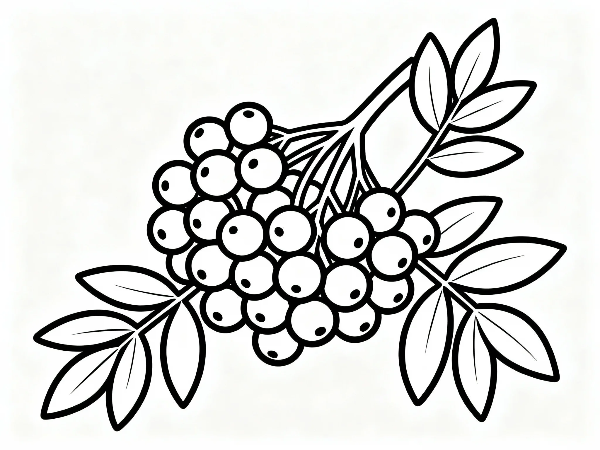 Elderberry Ensemble