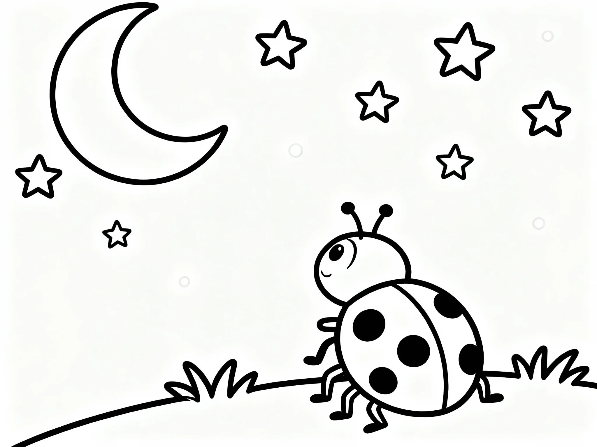 Ladybug Under the Moon