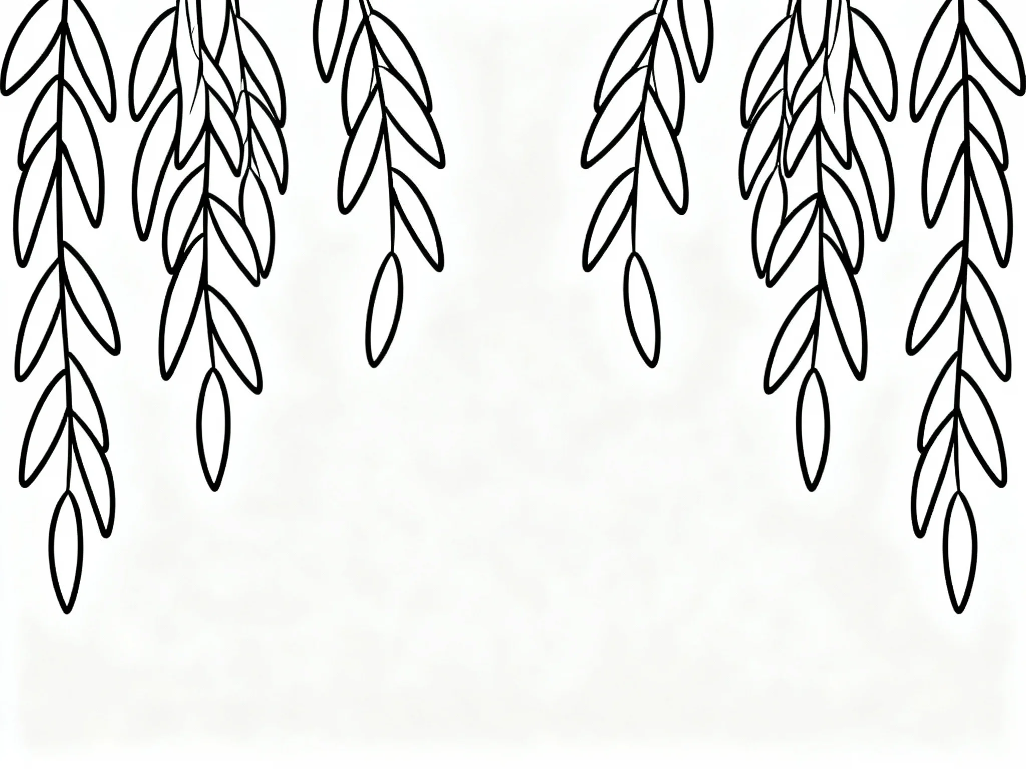 Willow Leaves Hanging