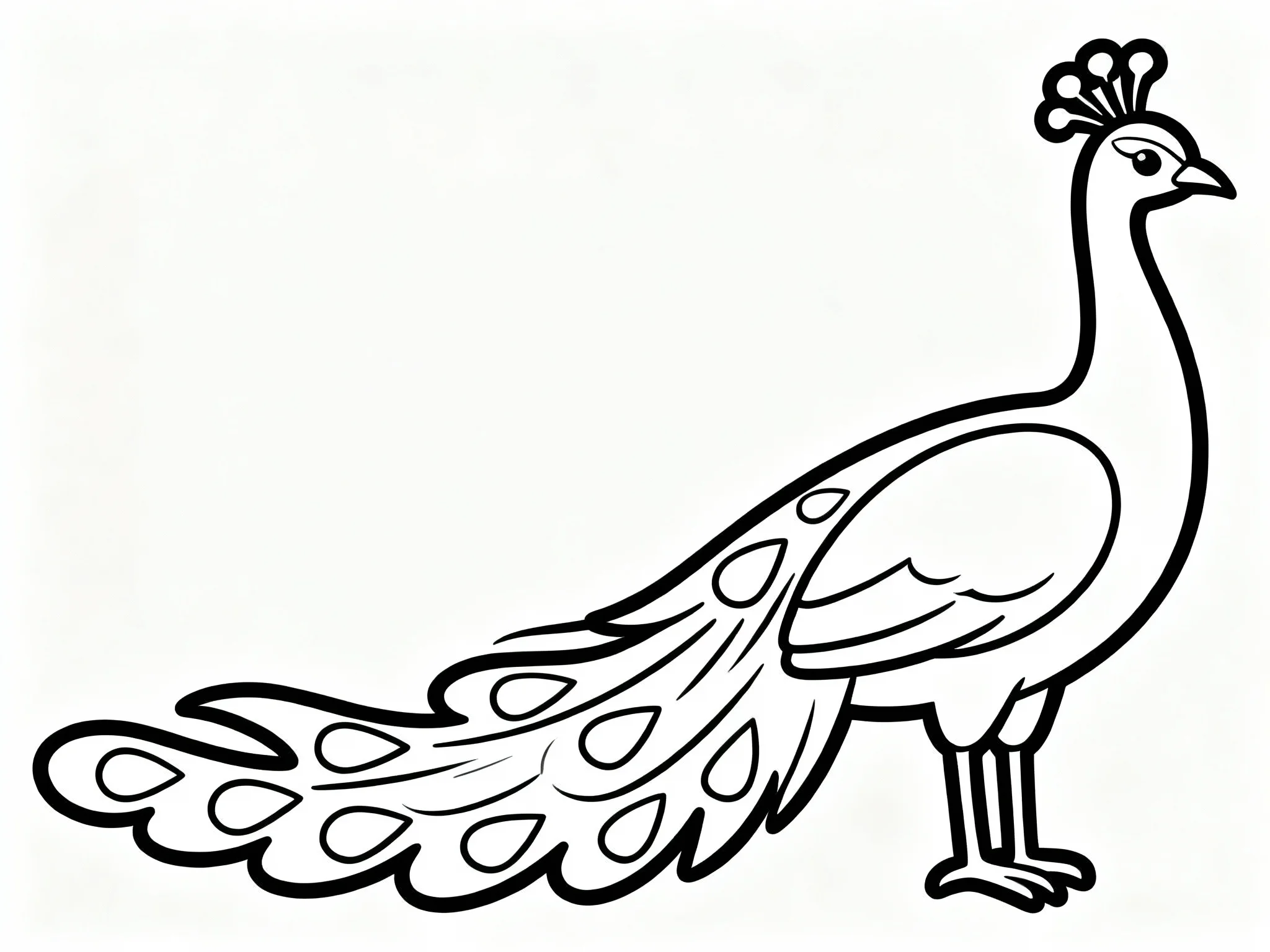 Peacock with Flowing Tail