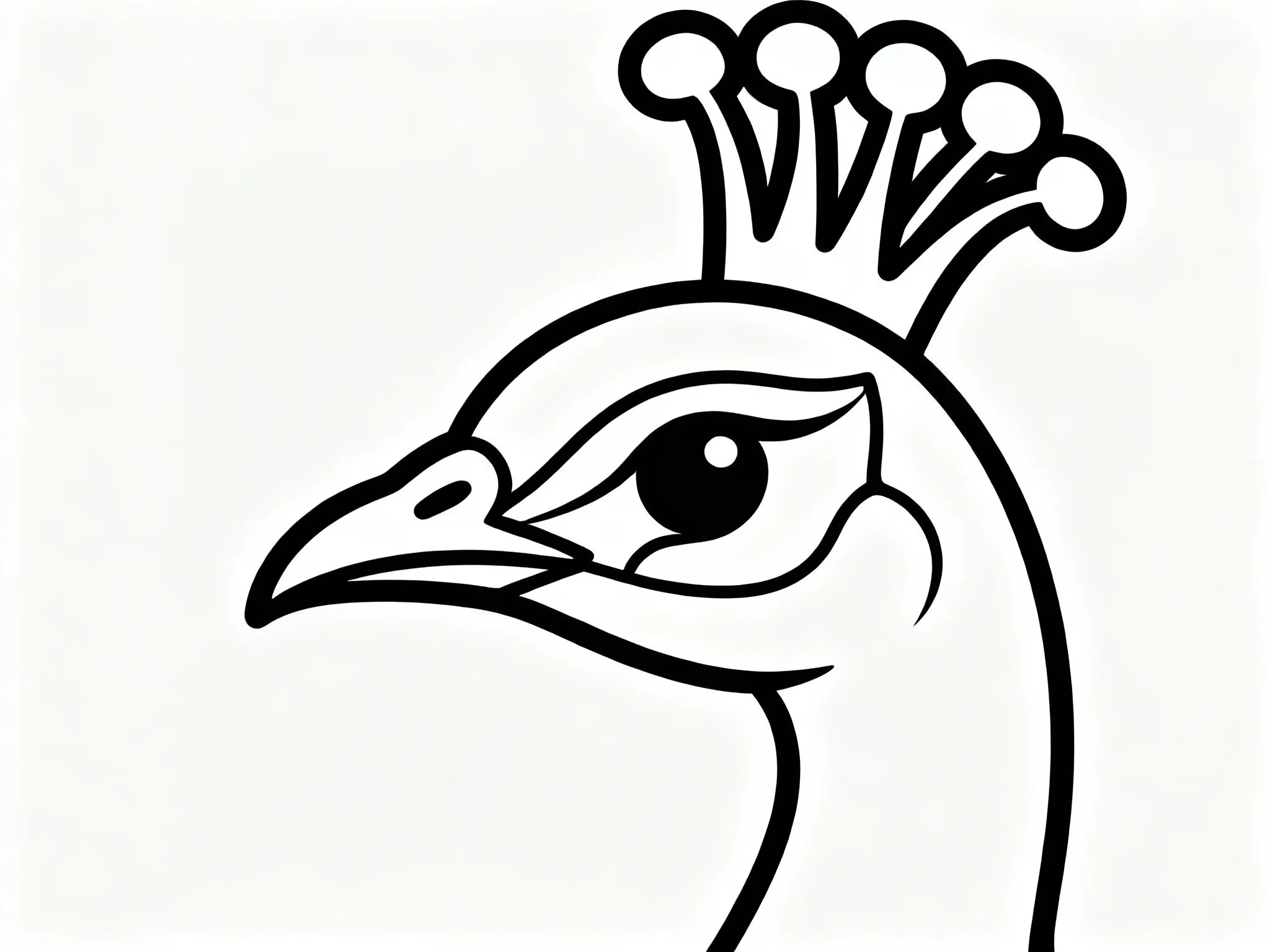 Peacock Head Close-Up