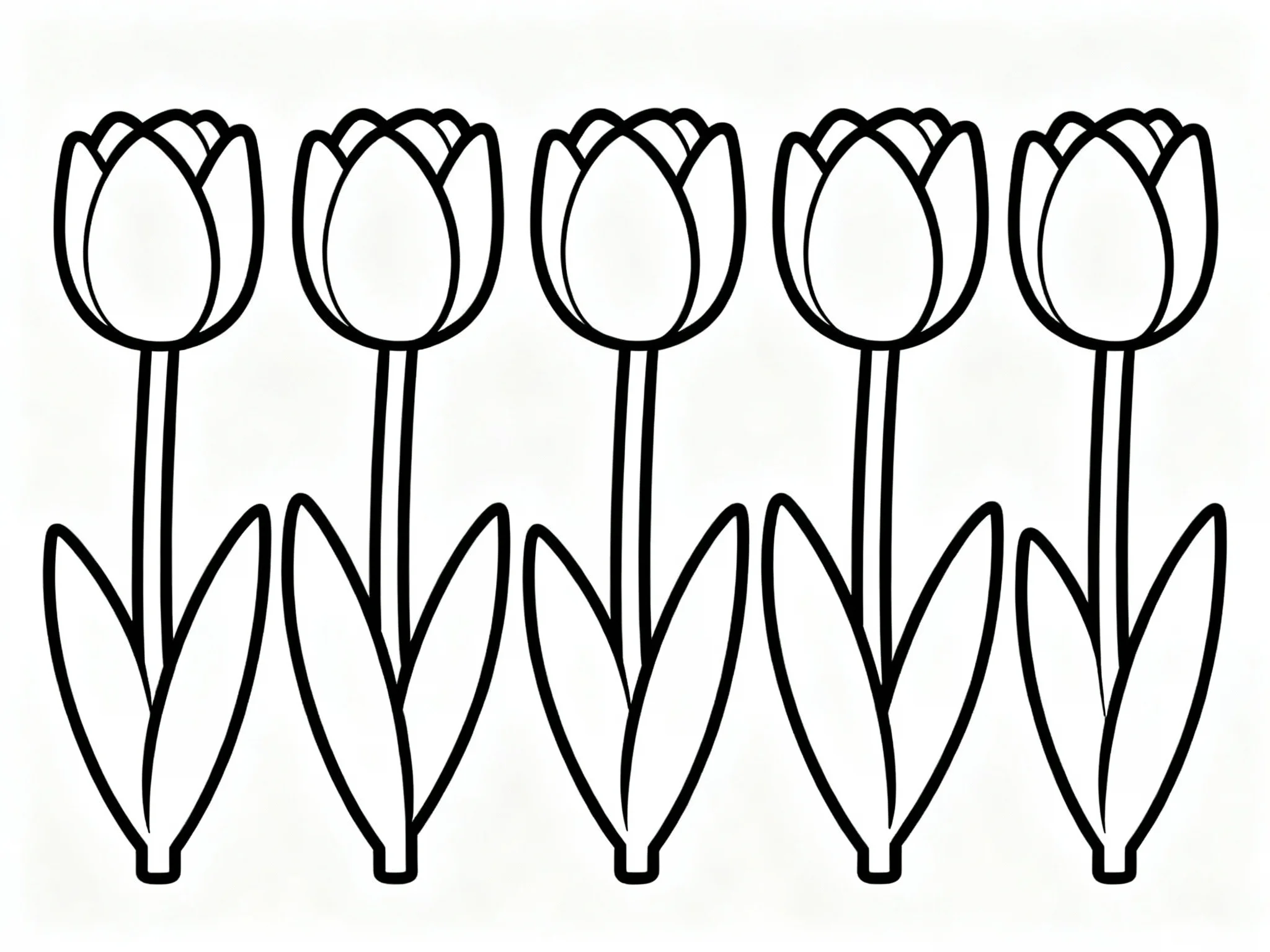 Blooming Tulips in a Row