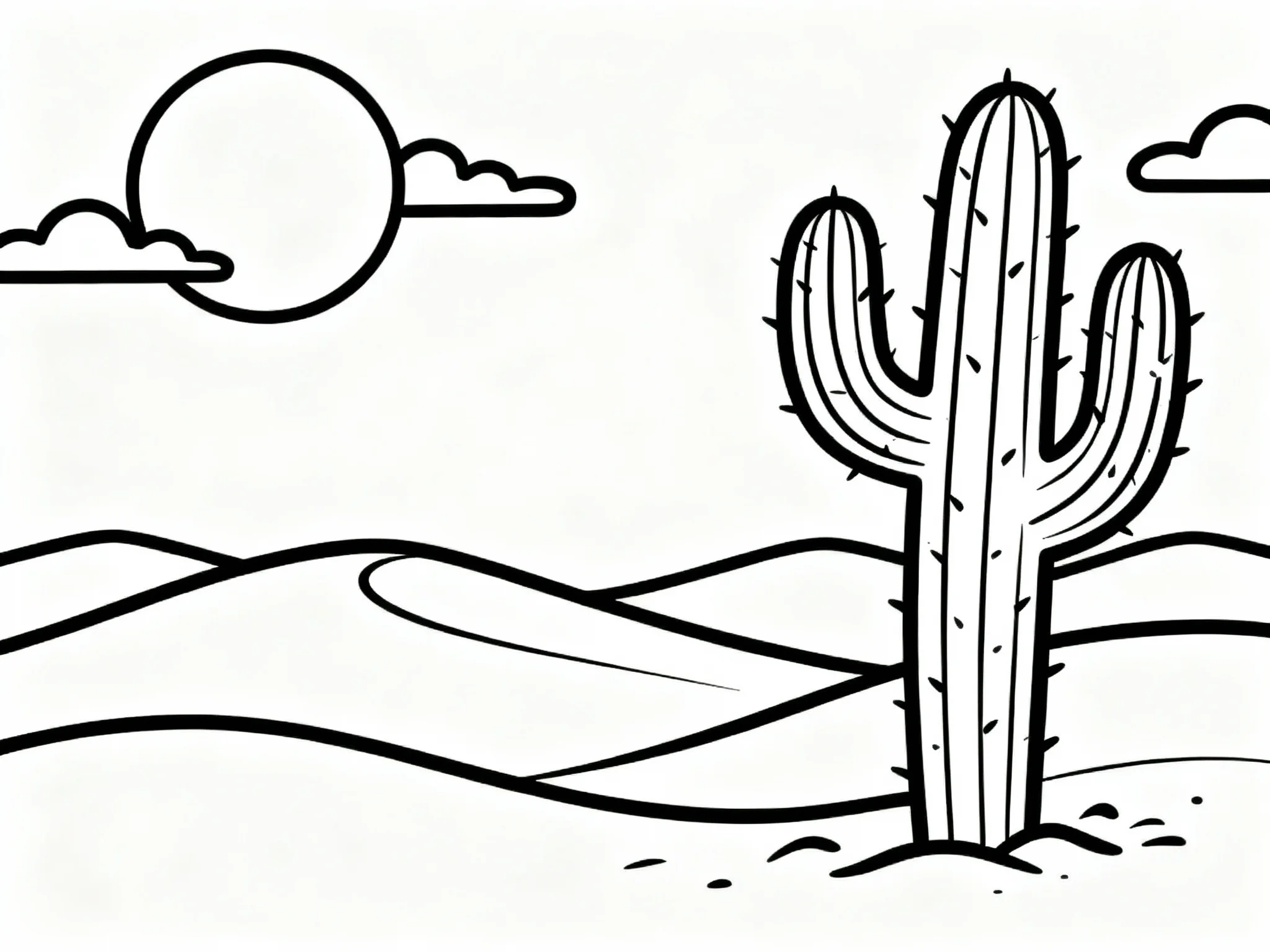 Desert Cactus Sunset