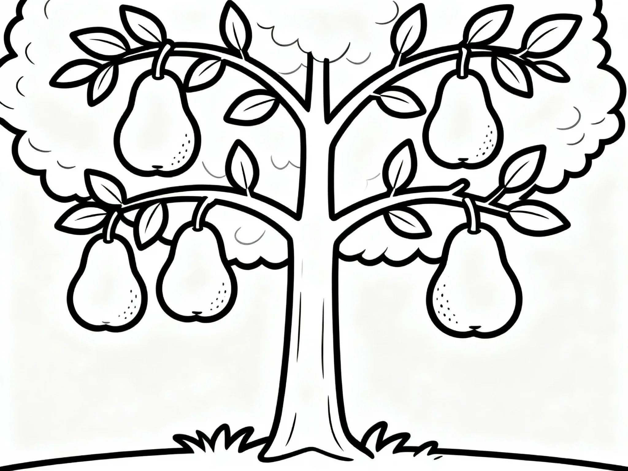 Pear Tree