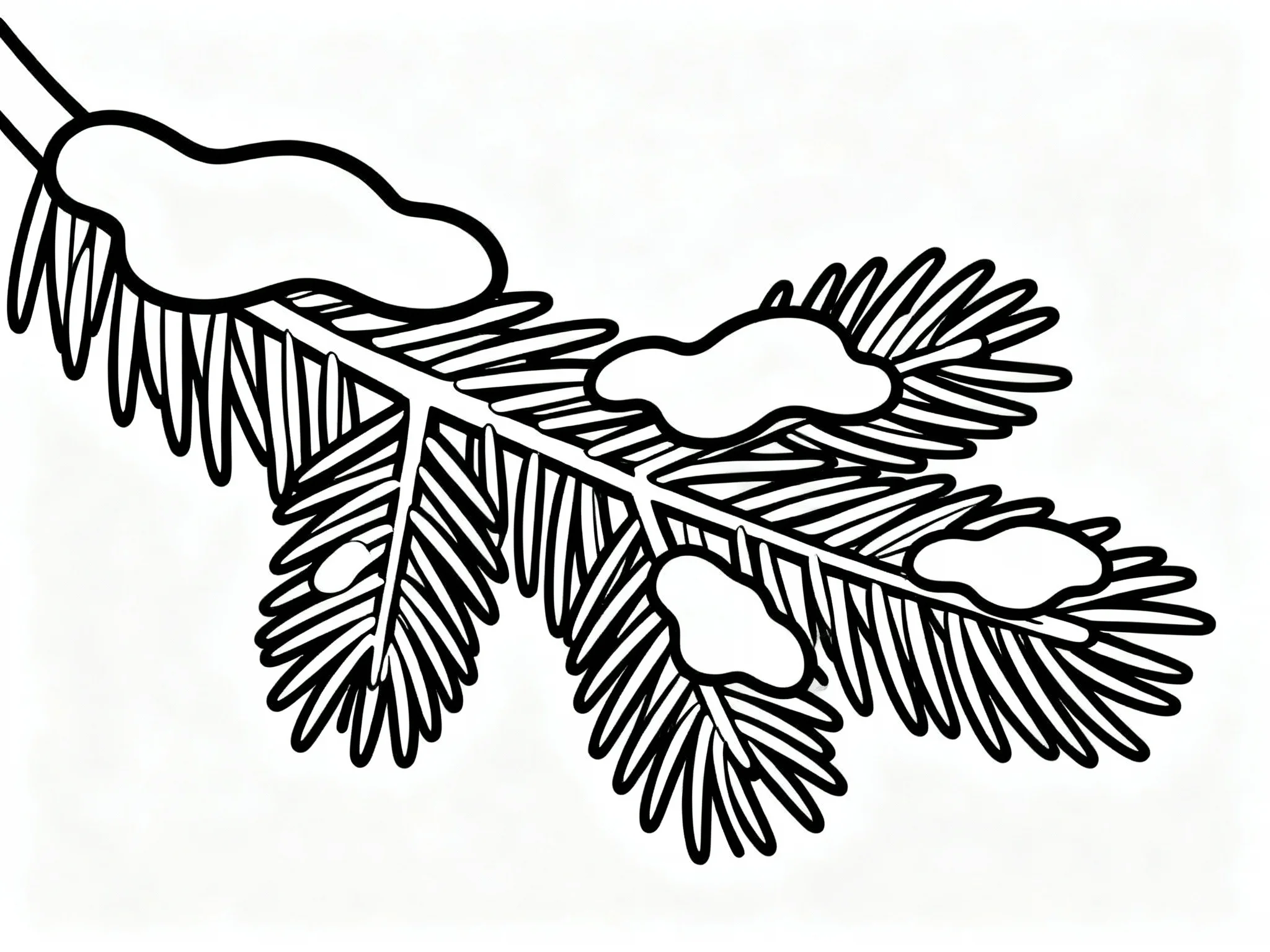 Snowy Evergreen Branch