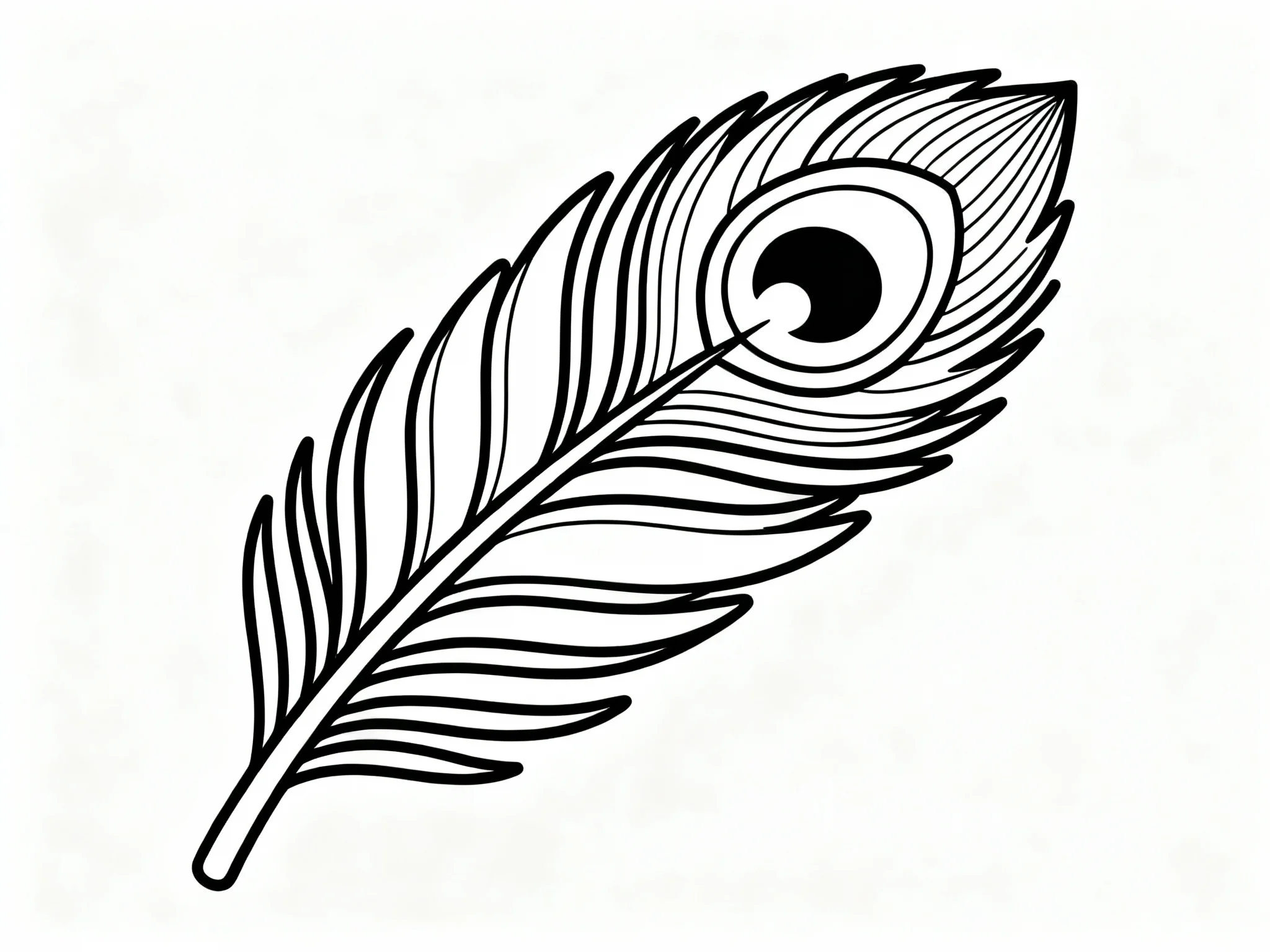 Peacock Feather